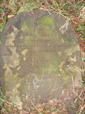 image of grave number 23586